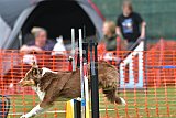 wedstrijd apeldoorn 18-04-2026