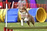 wedstrijd apeldoorn 18-04-2026