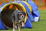 wedstrijd apeldoorn 18-04-2026