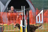 wedstrijd apeldoorn 18-04-2026