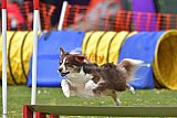 wedstrijd apeldoorn 18-04-2026