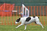 wedstrijd apeldoorn 18-04-2026