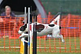 wedstrijd apeldoorn 18-04-2026