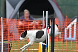 wedstrijd apeldoorn 18-04-2026