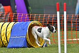 wedstrijd apeldoorn 18-04-2026