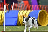 wedstrijd apeldoorn 18-04-2026