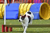 wedstrijd apeldoorn 18-04-2026