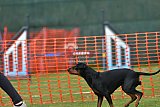 wedstrijd apeldoorn 18-04-2026