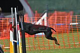 wedstrijd apeldoorn 18-04-2026