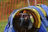 wedstrijd apeldoorn 18-04-2026