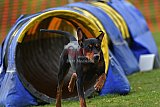 wedstrijd apeldoorn 18-04-2026