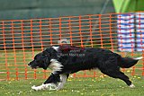 wedstrijd apeldoorn 18-04-2026