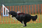 wedstrijd apeldoorn 18-04-2026