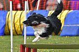 wedstrijd apeldoorn 18-04-2026