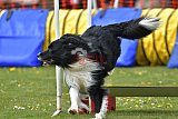 wedstrijd apeldoorn 18-04-2026