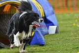 wedstrijd apeldoorn 18-04-2026