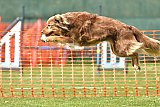 wedstrijd apeldoorn 18-04-2026