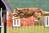 wedstrijd apeldoorn 18-04-2026