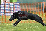 wedstrijd apeldoorn 18-04-2026