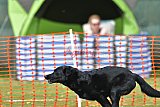 wedstrijd apeldoorn 18-04-2026