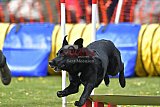 wedstrijd apeldoorn 18-04-2026