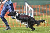wedstrijd apeldoorn 18-04-2026