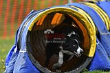 wedstrijd apeldoorn 18-04-2026