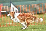 wedstrijd apeldoorn 18-04-2026