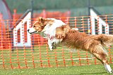 wedstrijd apeldoorn 18-04-2026