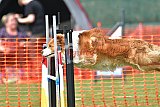 wedstrijd apeldoorn 18-04-2026