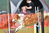 wedstrijd apeldoorn 18-04-2026