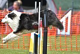 wedstrijd apeldoorn 18-04-2026