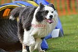 wedstrijd apeldoorn 18-04-2026