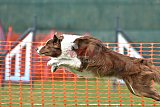wedstrijd apeldoorn 18-04-2026