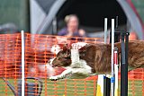 wedstrijd apeldoorn 18-04-2026