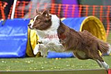 wedstrijd apeldoorn 18-04-2026