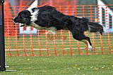 wedstrijd apeldoorn 18-04-2026
