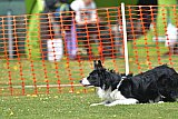wedstrijd apeldoorn 18-04-2026