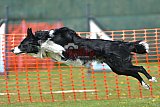 wedstrijd apeldoorn 18-04-2026