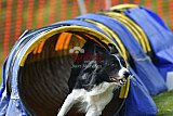 wedstrijd apeldoorn 18-04-2026