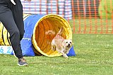 wedstrijd apeldoorn 18-04-2026
