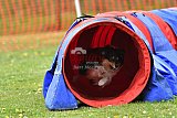 wedstrijd apeldoorn 18-04-2026