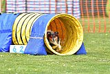wedstrijd apeldoorn 18-04-2026