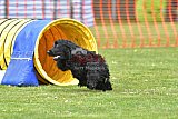wedstrijd apeldoorn 18-04-2026