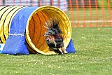 wedstrijd apeldoorn 18-04-2026
