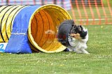 wedstrijd apeldoorn 18-04-2026
