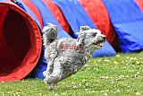 wedstrijd apeldoorn 18-04-2026