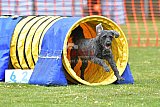 wedstrijd apeldoorn 18-04-2026