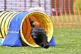 wedstrijd apeldoorn 18-04-2026