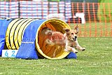 wedstrijd apeldoorn 18-04-2026